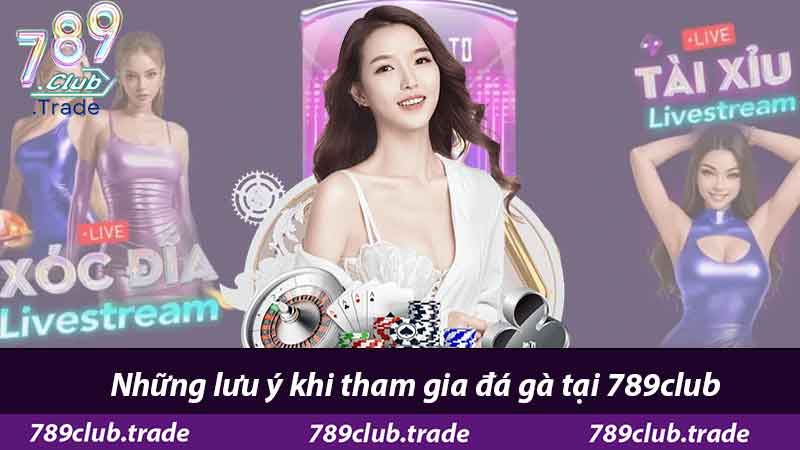 Đá Gà 789Club - Cổng Game Xanh Chín Chọi Gà Hấp Dẫn 3 Những lưu ý khi tham gia đá gà tại 789club